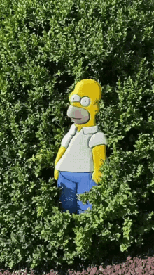 homer-bush.gif