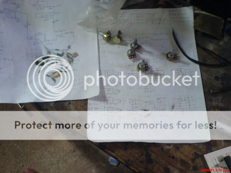 DSC01341.jpg