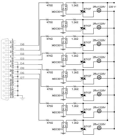 circuito.gif