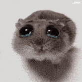 sad.gif