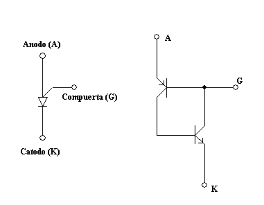 image1.gif