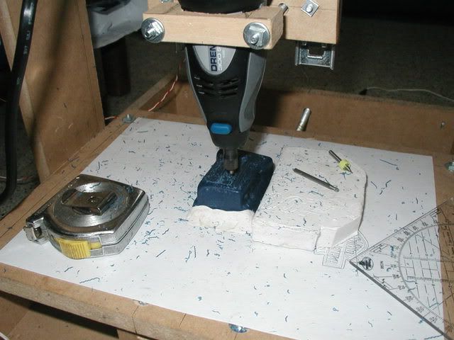 P1010008.jpg