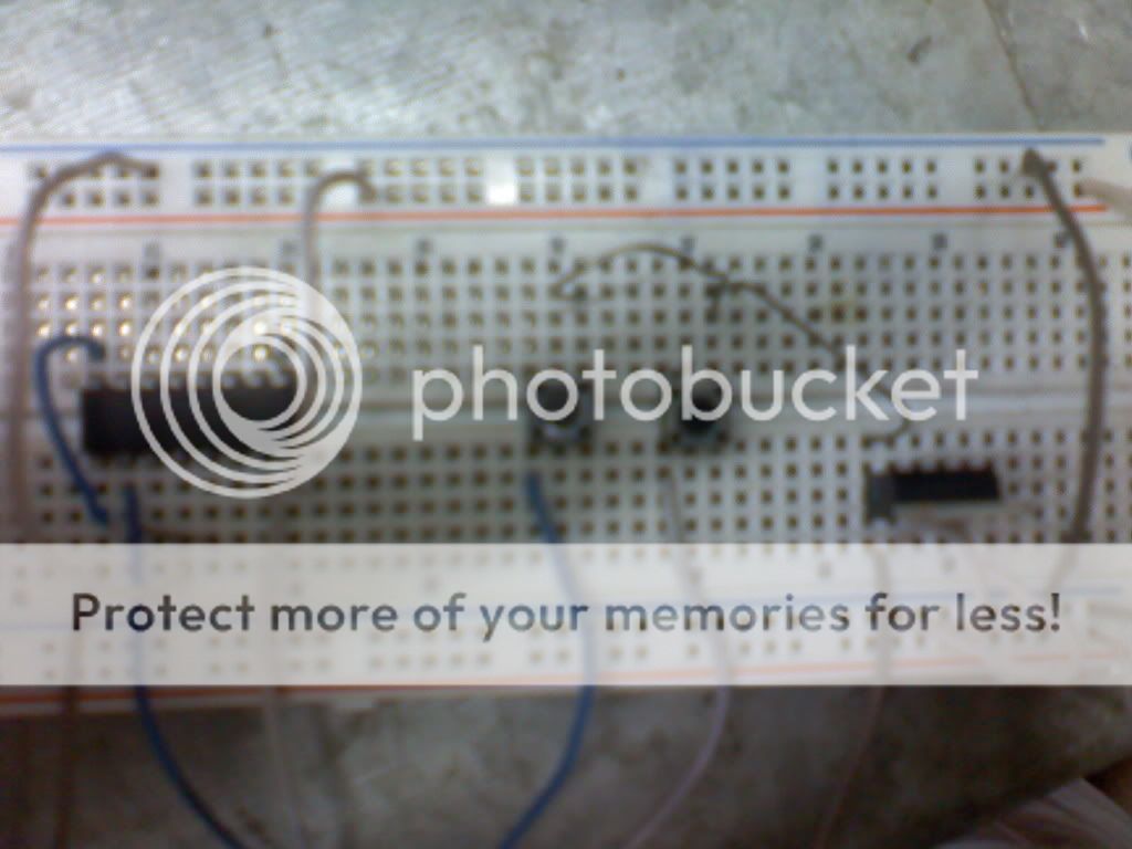 LM_0274.jpg