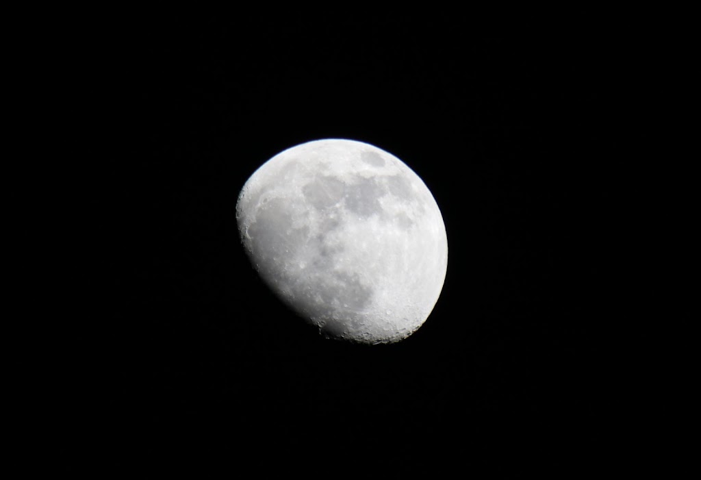luna.jpg