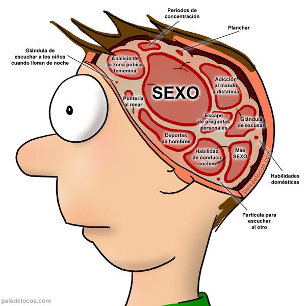 cerebro_hombre.jpg
