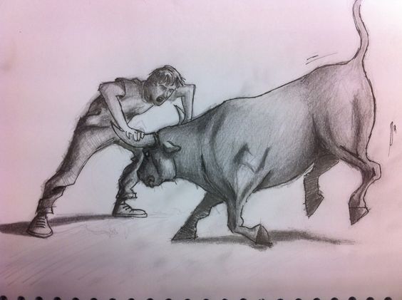 b1bf25b75d26e65b06e4bb746550eac7--toro.jpg