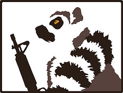 Lemur_13.jpg