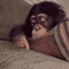 sad-monkey-wriogifs.gif