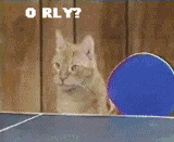 129161956671554292.gif