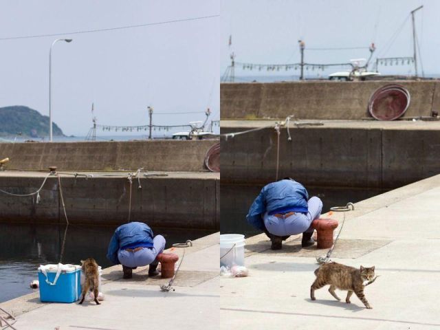 funcage2.jpg