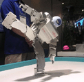 sumobot4.gif