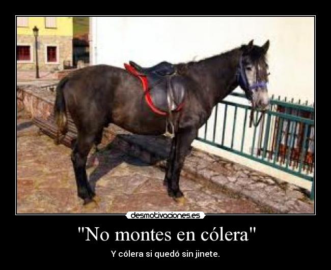 cabbalocolera.jpg