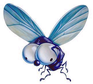 Mosca_Da_Sopa.jpg