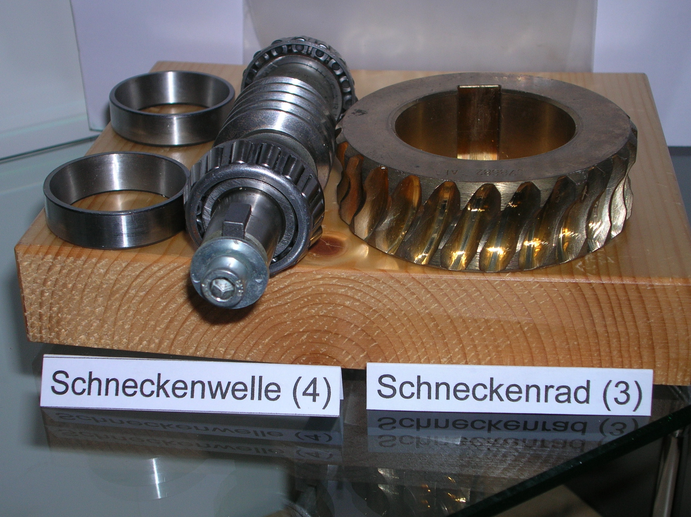 Schneckenrad_Schneckenwelle.jpg