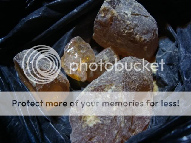 DSC01504.jpg
