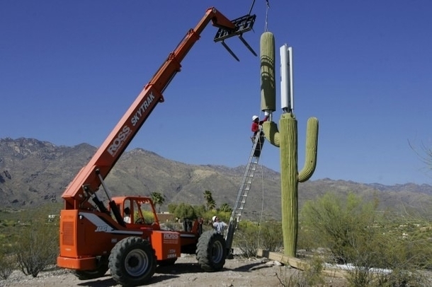 one-way-to-hide-a-cell-phone-tower-44938.jpg