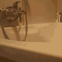 cat-bathtub.gif
