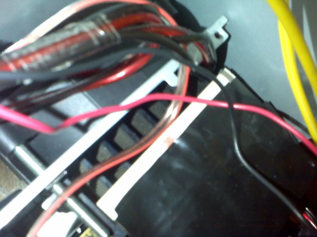 IMG00928.jpg