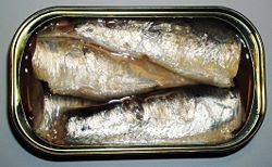 sardinas.jpg
