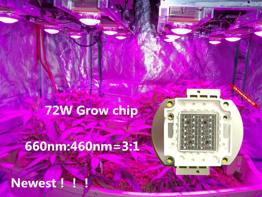 Newest-72W-DIY-grow-kit-red-and-blue-grow-led-chip-plant-grow-wavelength-660nm-460nm.jpg