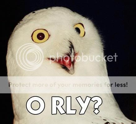 ORLY-1.jpg