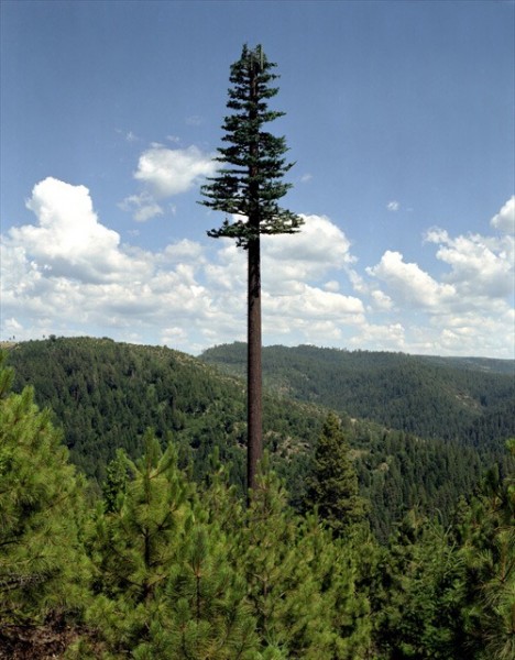 Cell-Phone-Tower-Disguised-as-Tree-468x600.jpeg