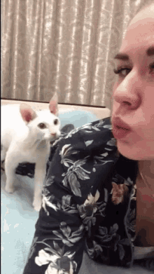 cat-fight-cats-are-rude.gif