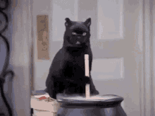 black-cat-salem-cauldron.gif