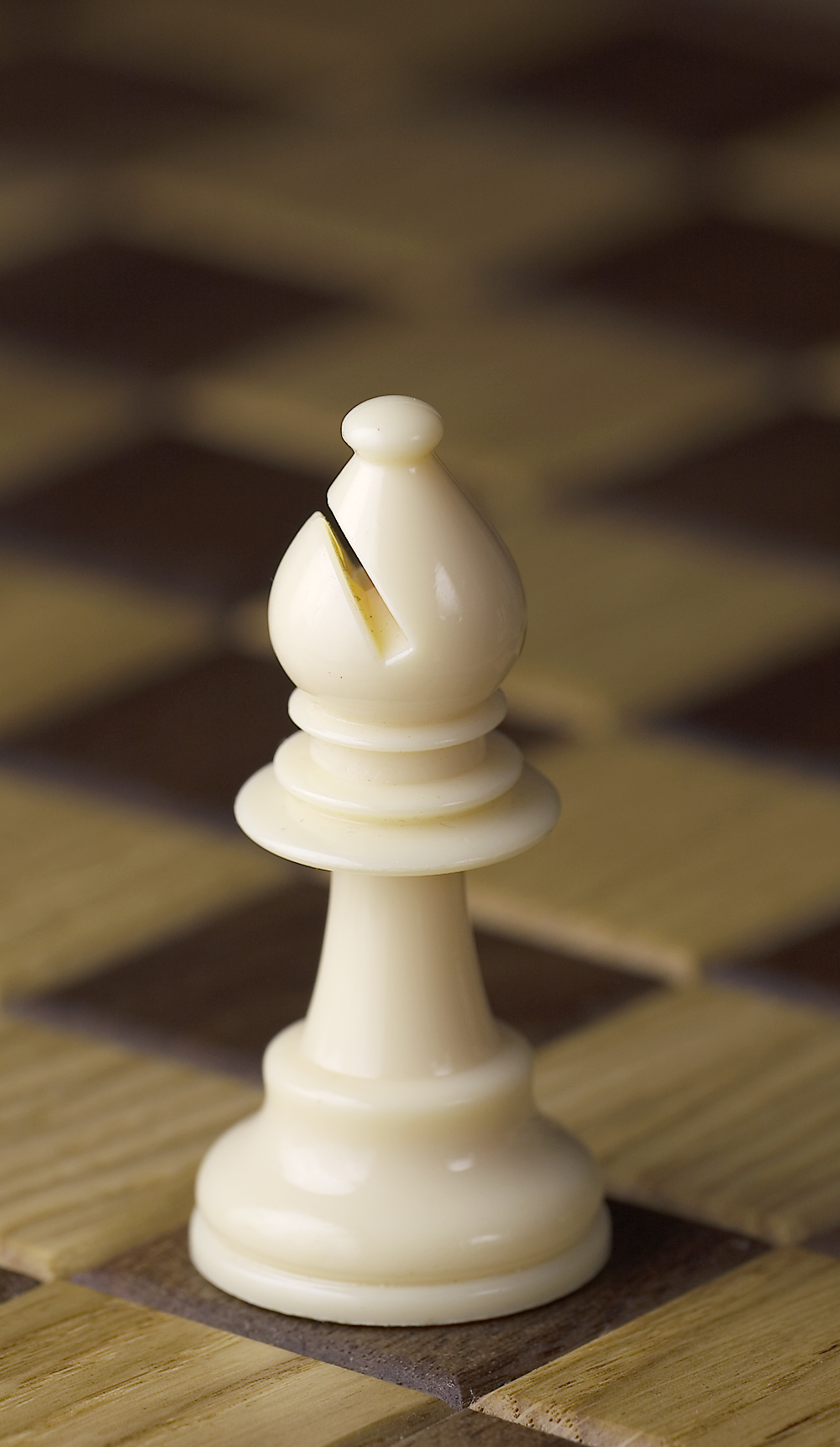 Chess_piece_-_White_bishop.JPG