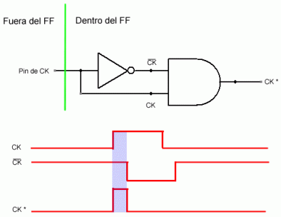 Detector de Transiciones Positivas