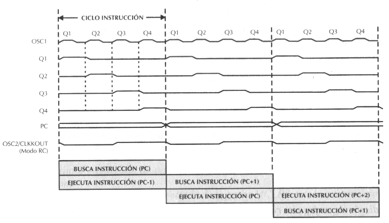 ciclos1.gif